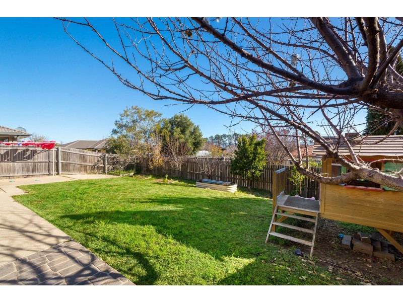 39 Dagmar Berne Street, Macgregor ACT 2615