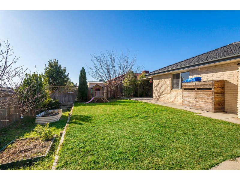 39 Dagmar Berne Street, Macgregor ACT 2615