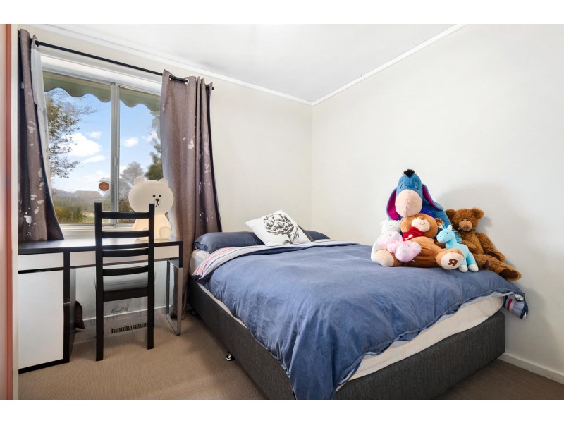 7 Jevons Place, Page ACT 2614