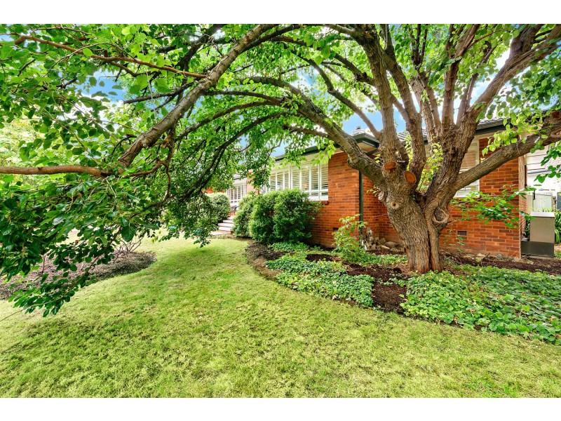 312 Antill Street, Hackett ACT 2602