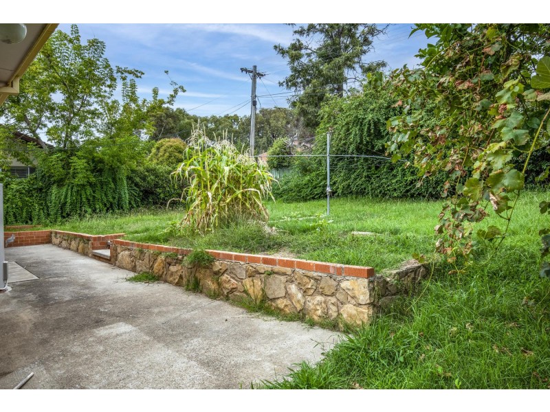 38 Lambrigg Street, Farrer ACT 2607