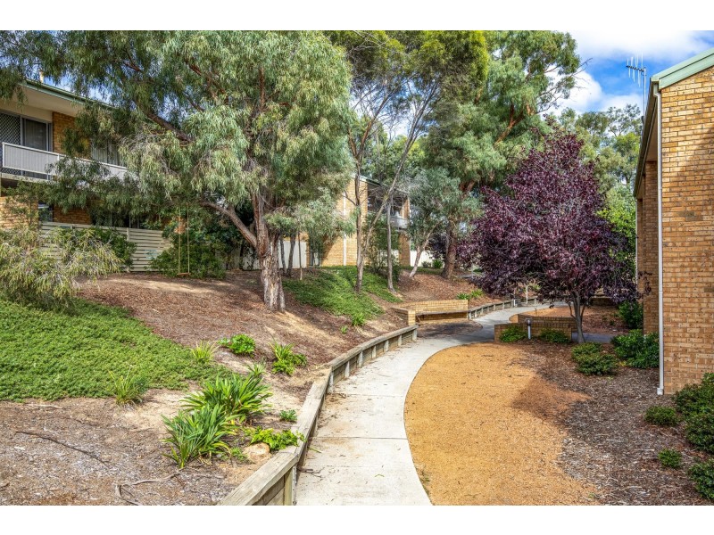 20/51 Totterdell Street, Belconnen ACT 2617