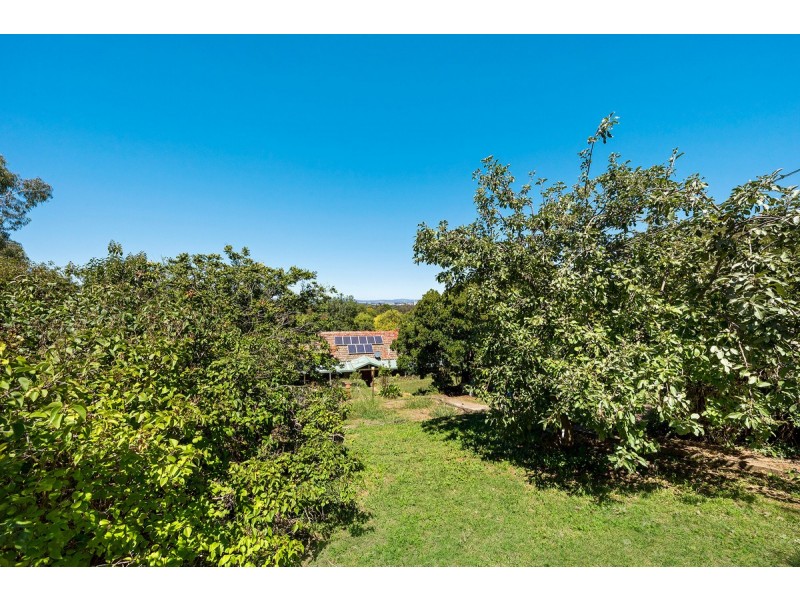 7 Bursaria Street, O’connor ACT 2602