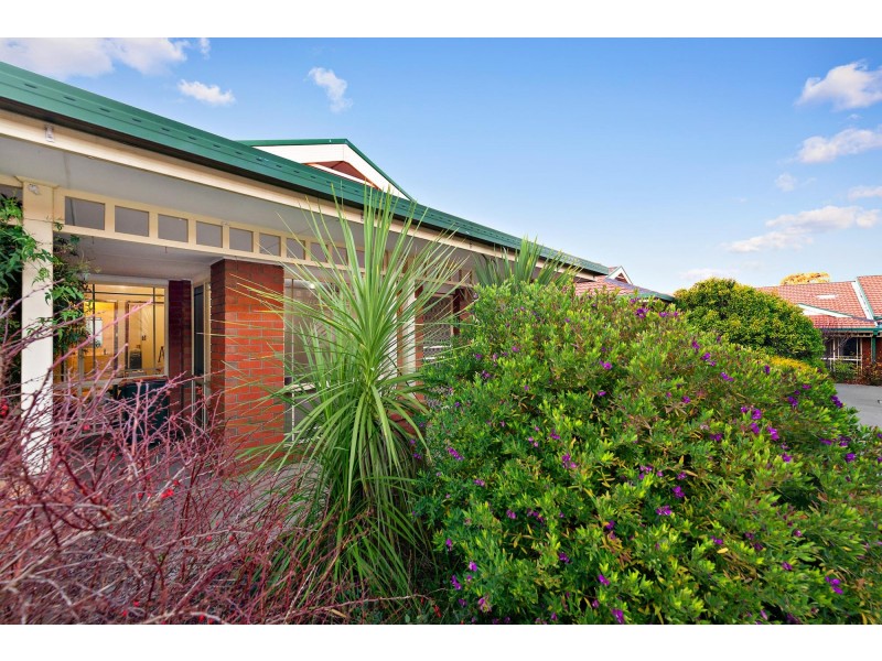 17/41 Halford Crescent, Page ACT 2614