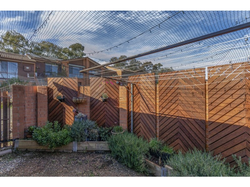 11/21 Alsop Close, Phillip ACT 2606