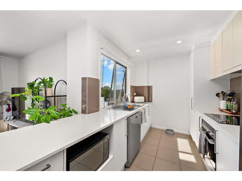 28/2 Sapling Street, Harrison ACT 2914