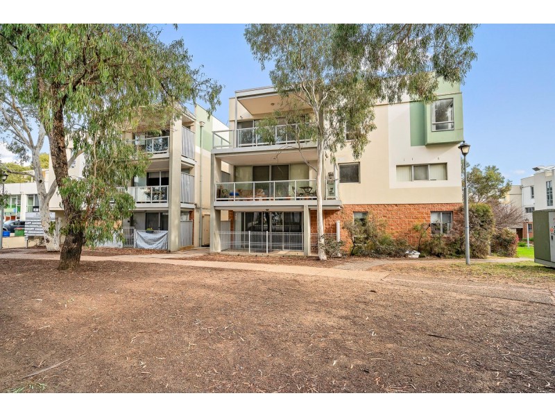 77/10 Thynne Street, Bruce ACT 2617