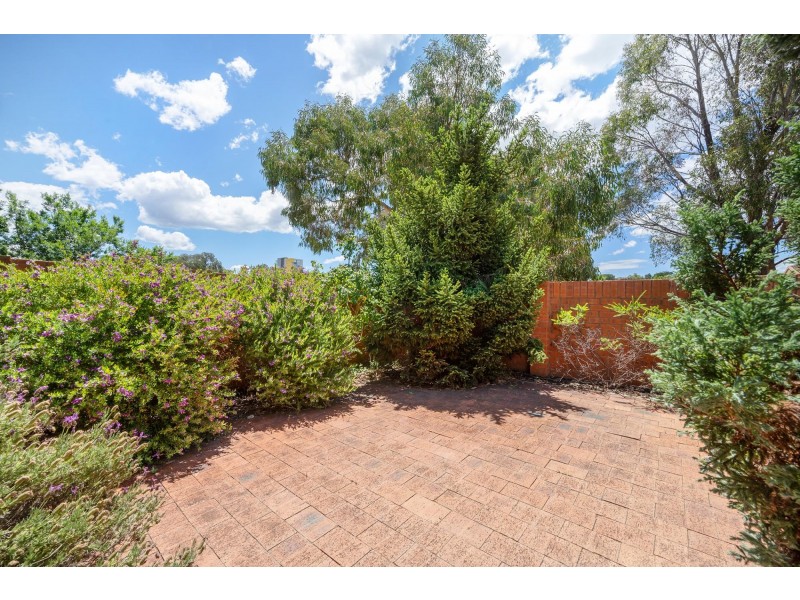 11/21 Alsop Close, Phillip ACT 2606