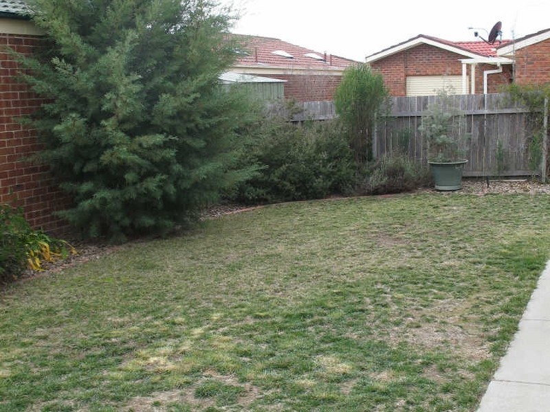8 Maynard Street, Ngunnawal ACT 2913