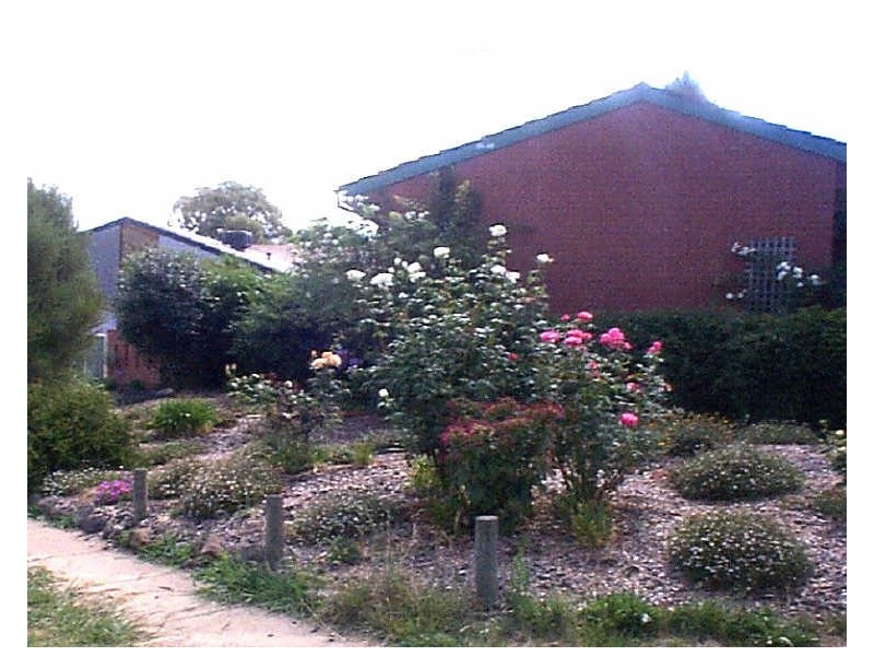 31 Balamarra Street, Giralang ACT 2617