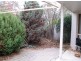 5/25 Earle Place, Page ACT 2614