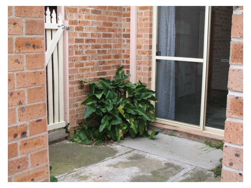 26 Wiburd Street, Banks ACT 2906