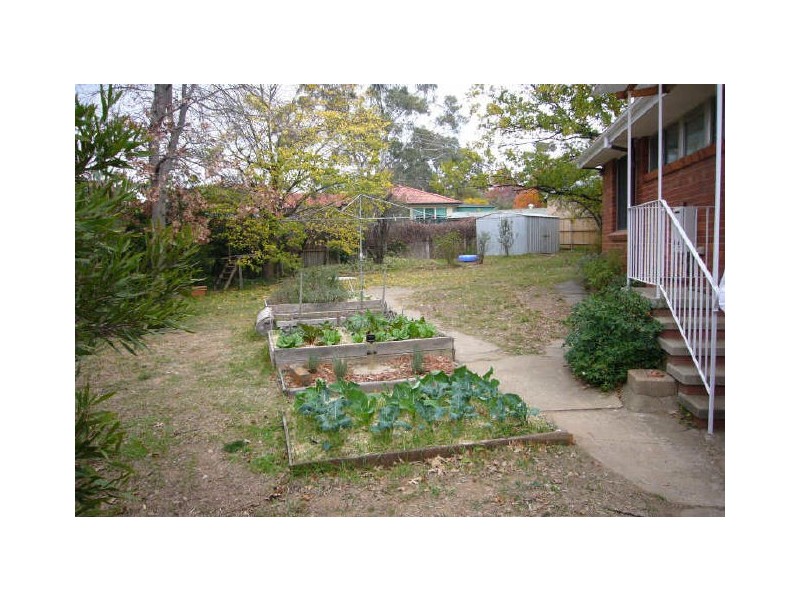 3 Moy Place, Macquarie ACT 2614