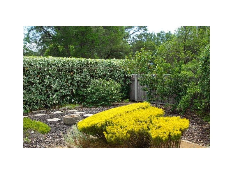 20 Paterick Place, Holt ACT 2615