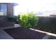 52 Westbury Circuit, Nicholls ACT 2913