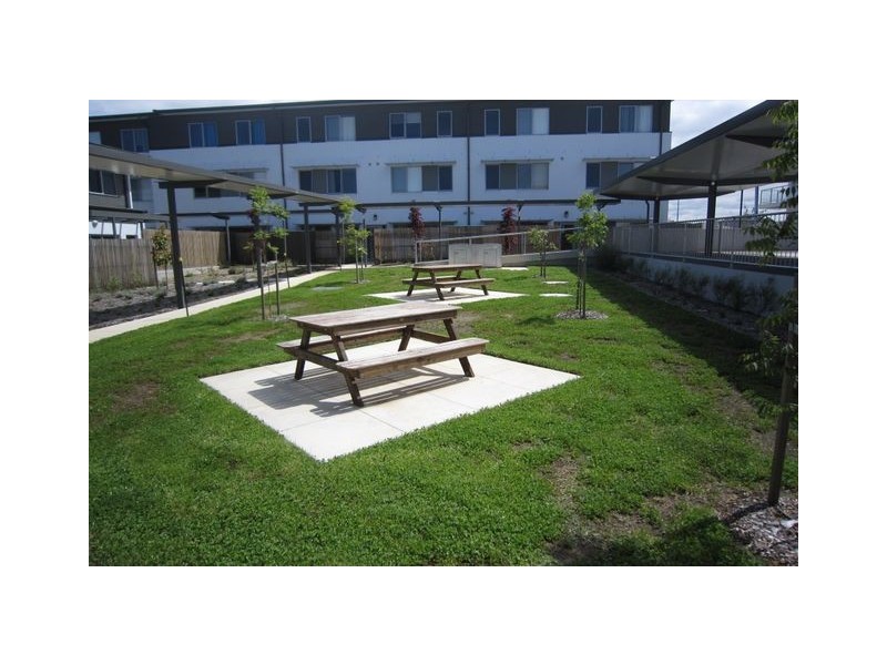 17/329 Flemington Road, Franklin ACT 2913