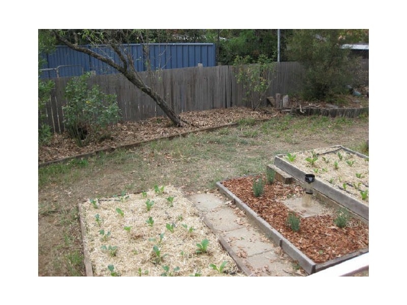 3 Moy Place, Macquarie ACT 2614