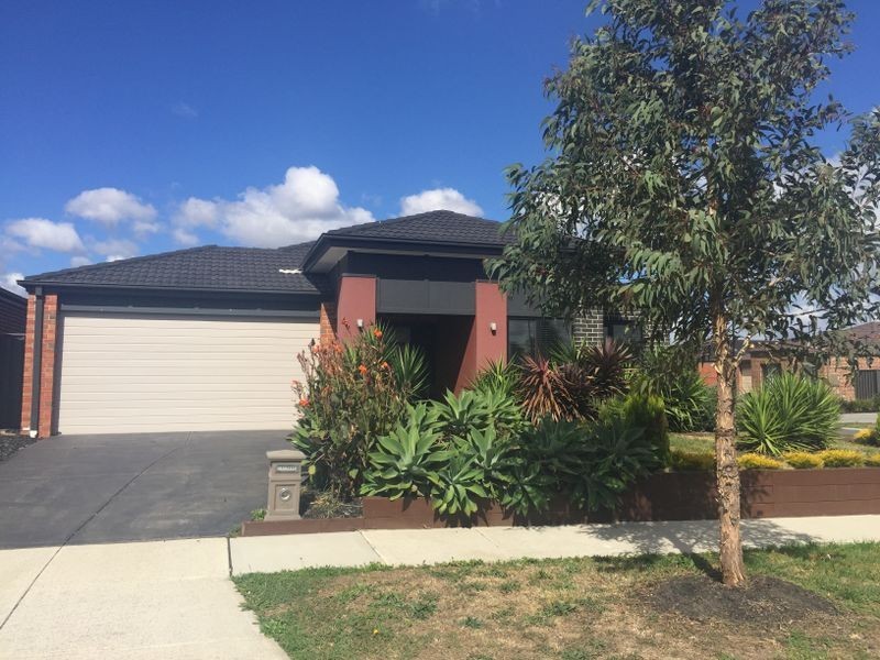 12 Gladiolus Circuit, Cranbourne North VIC 3977