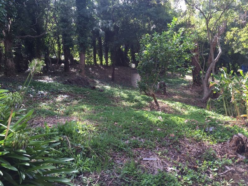 33 Old Belgrave Road, Upper Ferntree Gully VIC 3156