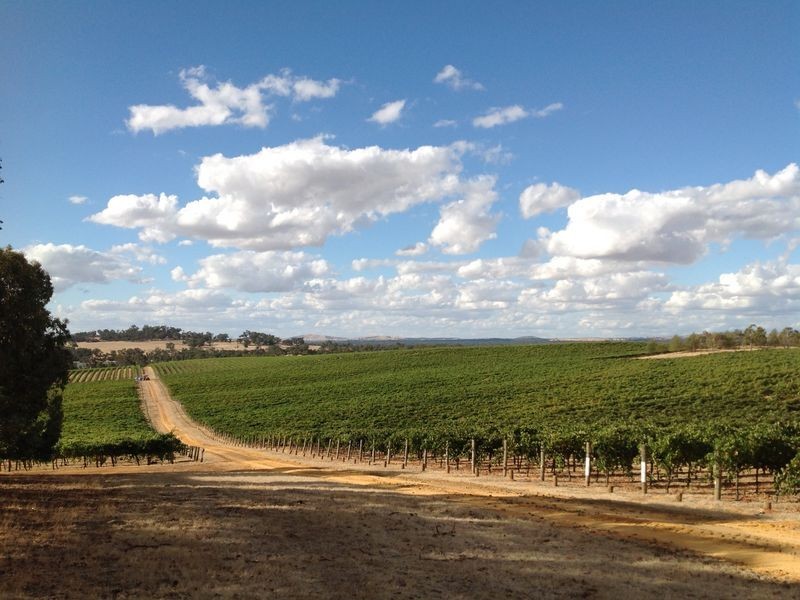 295 Sugarloaf Road, Great Western VIC 3377