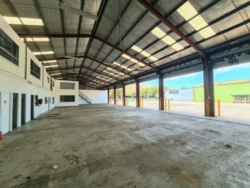 28 Burrows Road, St Peters NSW 2044