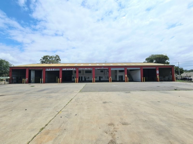 28 Burrows Road, St Peters NSW 2044