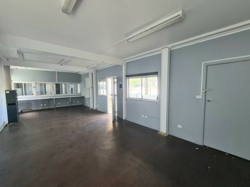 28 Burrows Road, St Peters NSW 2044