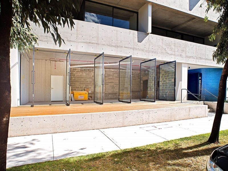 41 Birmingham Street, Alexandria NSW 2015