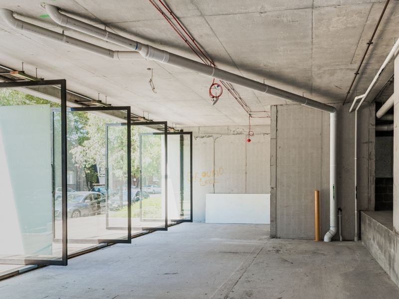 41 Birmingham Street, Alexandria NSW 2015