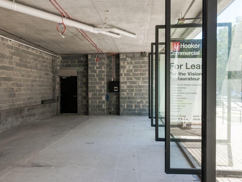 41 Birmingham Street, Alexandria NSW 2015