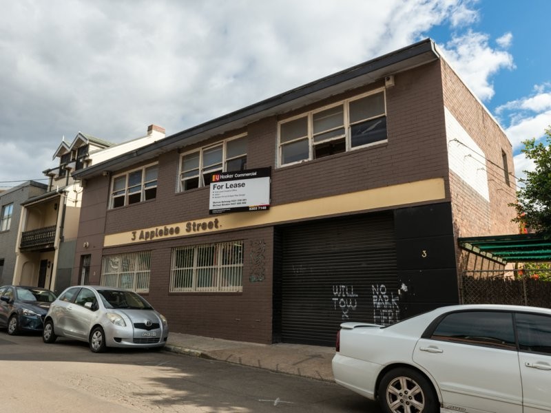 3 Applebee Street, St Peters NSW 2044