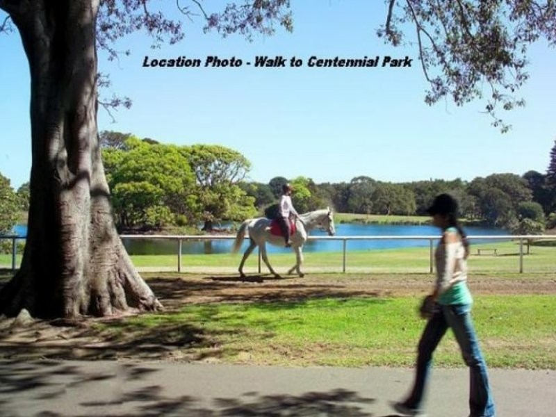 57-59 Todman Avenue, Kensington NSW 2033