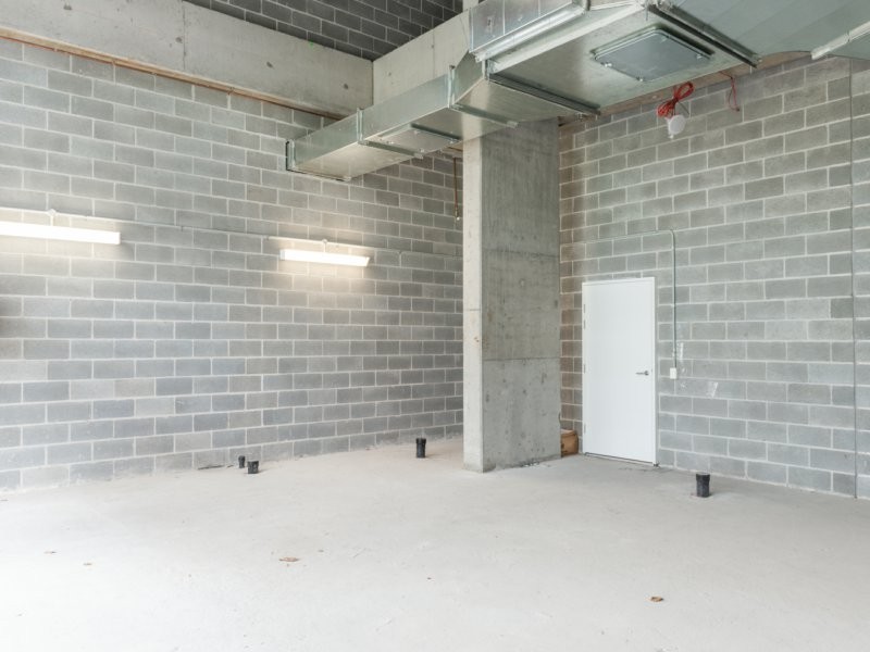 17 Lachlan Street, Waterloo NSW 2017