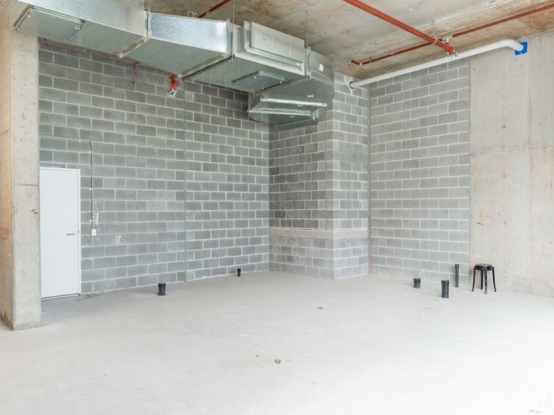 17 Lachlan Street, Waterloo NSW 2017