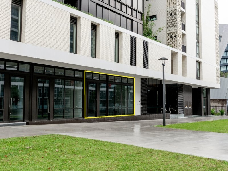 17 Lachlan Street, Waterloo NSW 2017