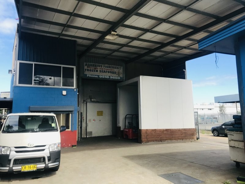 1 Burrows Road South, St Peters NSW 2044