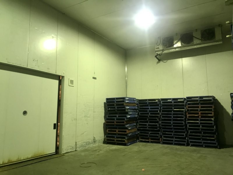 1 Burrows Road South, St Peters NSW 2044