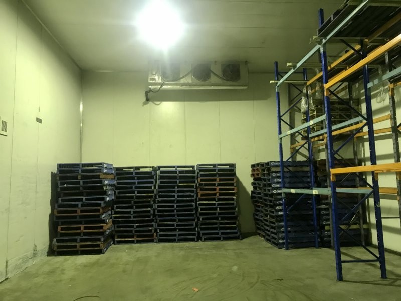 1 Burrows Road South, St Peters NSW 2044