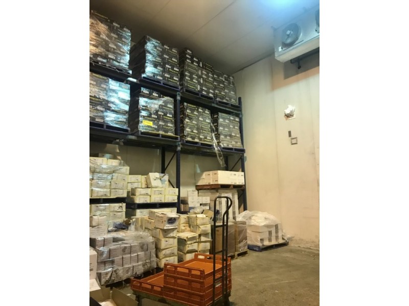 1 Burrows Road South, St Peters NSW 2044