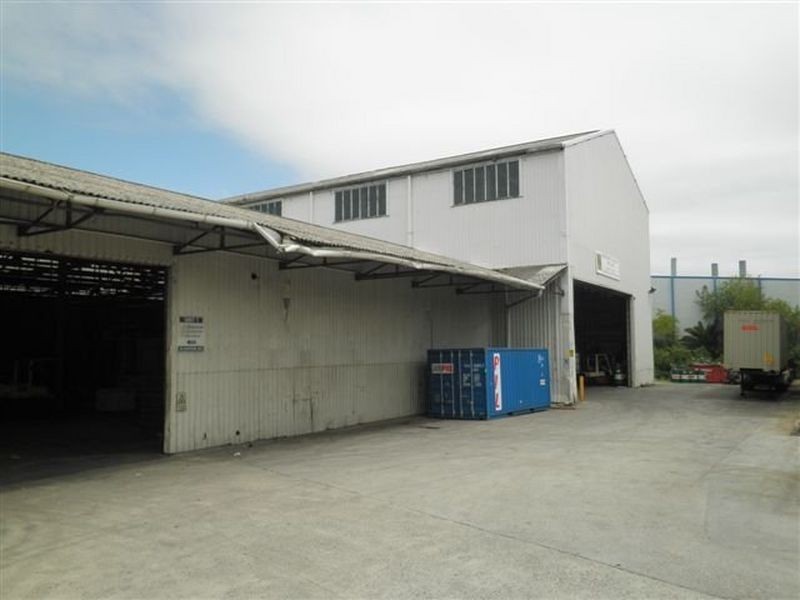 46 Raymond Avenue, Matraville NSW 2036