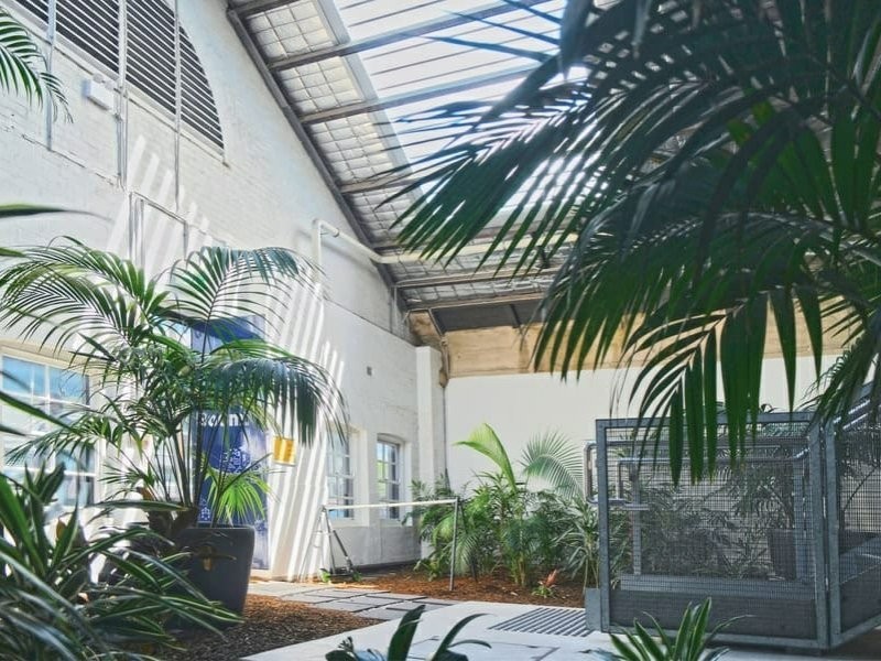 34 Denison Street, Camperdown NSW 2050