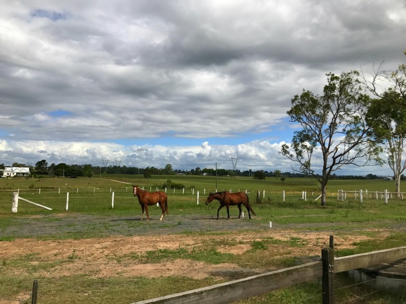 468 Ski Lodge Road, Seelands NSW 2460