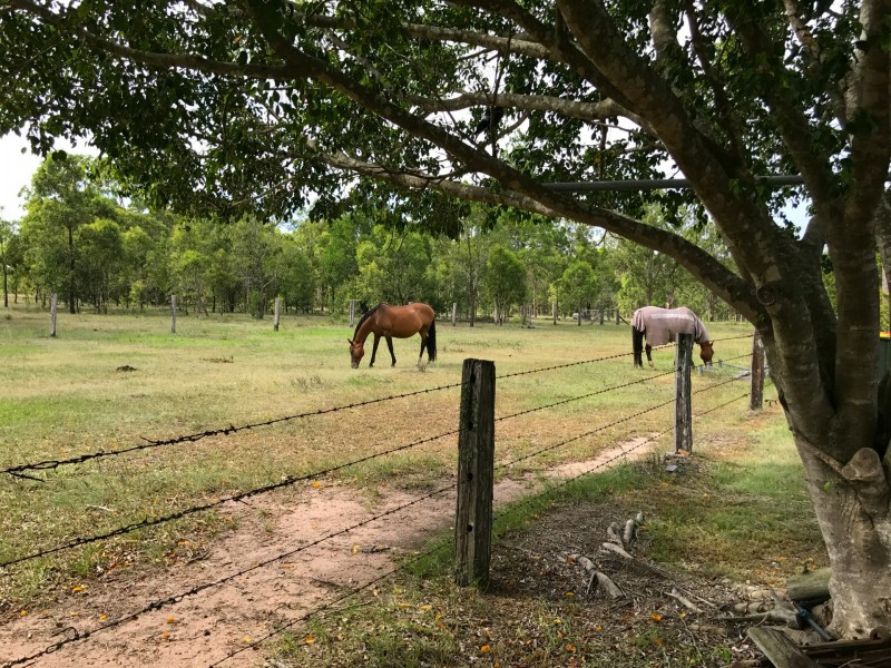 468 Ski Lodge Road, Seelands NSW 2460