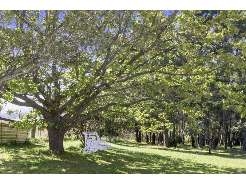 155 Aldington Road, Kemps Creek NSW 2178