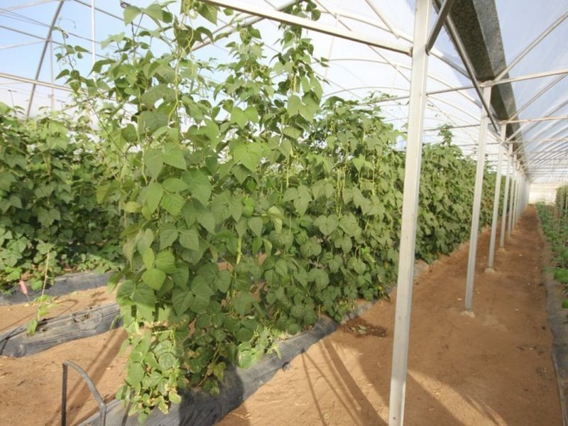 180 Mockingbird Road, Pheasants Nest NSW 2574