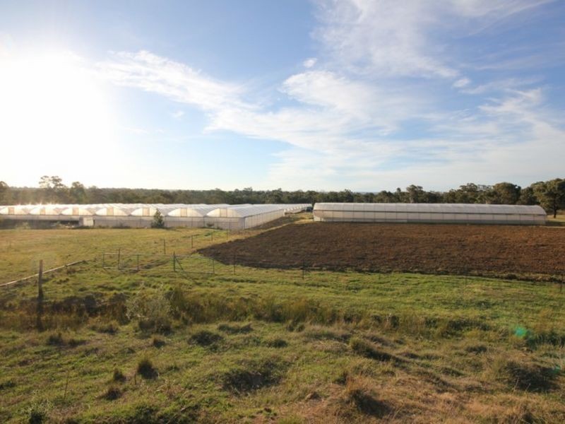 180 Mockingbird Road, Pheasants Nest NSW 2574