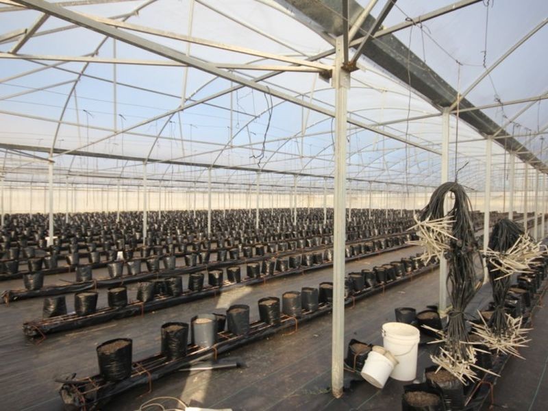 180 Mockingbird Road, Pheasants Nest NSW 2574