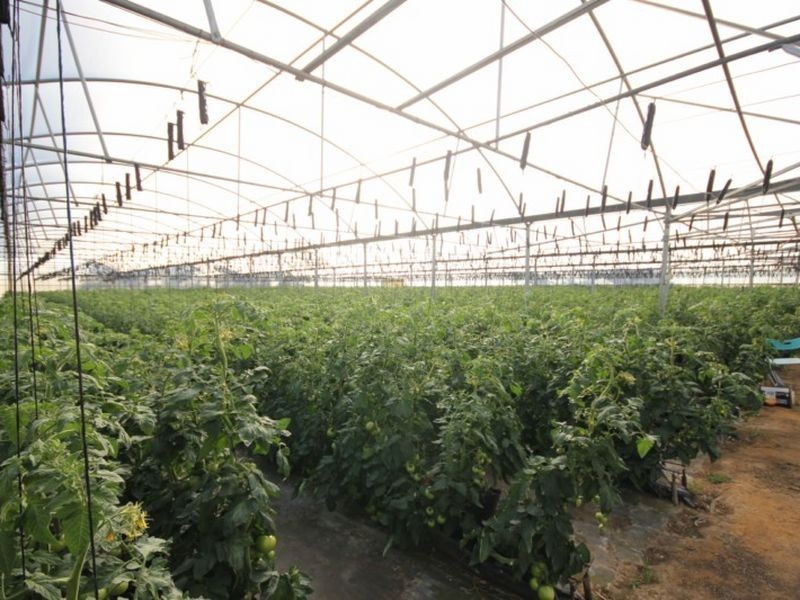 180 Mockingbird Road, Pheasants Nest NSW 2574