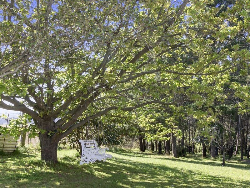 155 Aldington Road, Kemps Creek NSW 2178