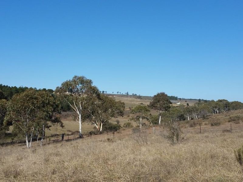 61 Henning Crescent, Wallerawang NSW 2845